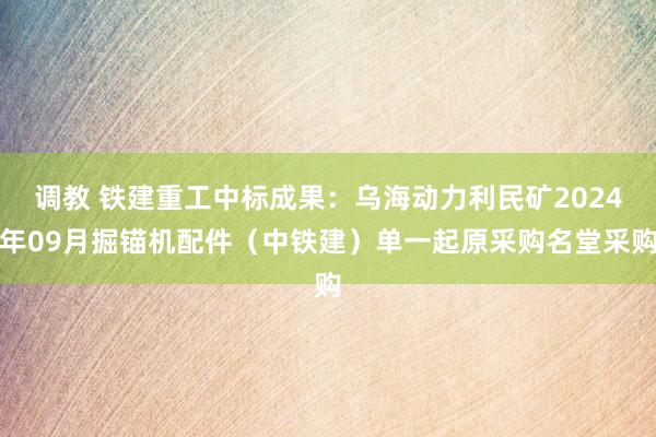 调教 铁建重工中标成果：乌海动力利民矿2024年09月掘锚机配件（中铁建）单一起原采购名堂采购