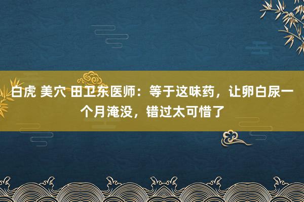 白虎 美穴 田卫东医师：等于这味药，让卵白尿一个月淹没，错过太可惜了