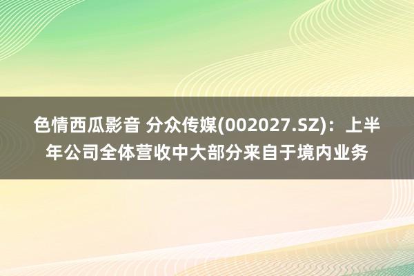 色情西瓜影音 分众传媒(002027.SZ)：上半年公司全体营收中大部分来自于境内业务