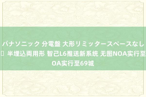 パナソニック 分電盤 大形リミッタースペースなし 露出・半埋込両用形 智己L6推送新系统 无图NOA实行至69城