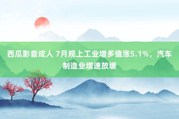 西瓜影音成人 7月规上工业增多值涨5.1%，汽车制造业增速放缓