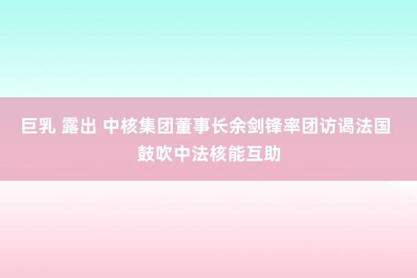 巨乳 露出 中核集团董事长余剑锋率团访谒法国 鼓吹中法核能互助