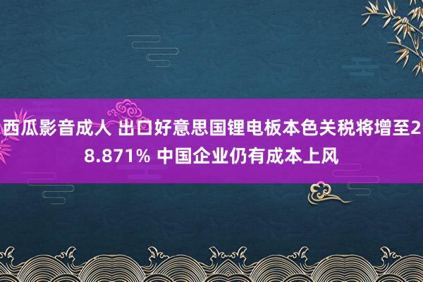 西瓜影音成人 出口好意思国锂电板本色关税将增至28.871% 中国企业仍有成本上风