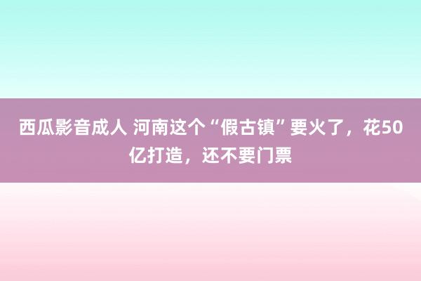 西瓜影音成人 河南这个“假古镇”要火了，花50亿打造，还不要门票