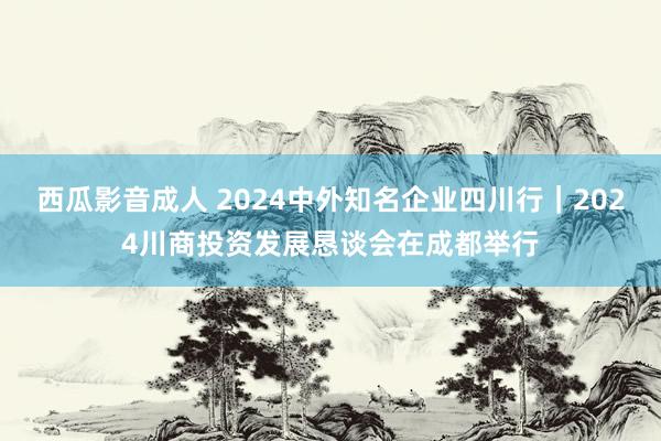 西瓜影音成人 2024中外知名企业四川行｜2024川商投资发展恳谈会在成都举行