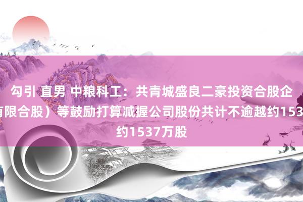 勾引 直男 中粮科工：共青城盛良二豪投资合股企业（有限合股）等鼓励打算减握公司股份共计不逾越约1537万股