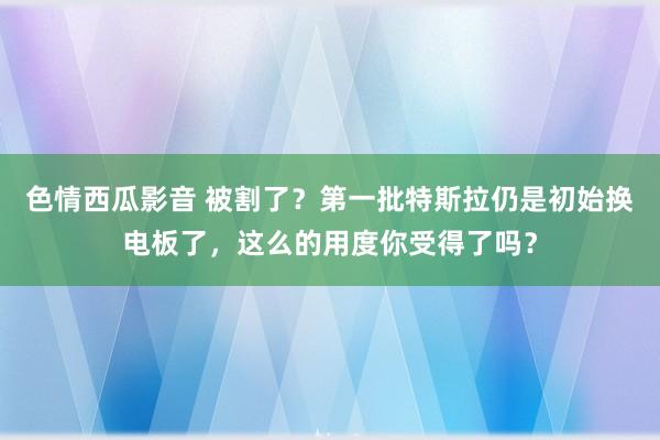 色情西瓜影音 被割了？第一批特斯拉仍是初始换电板了，这么的用度你受得了吗？