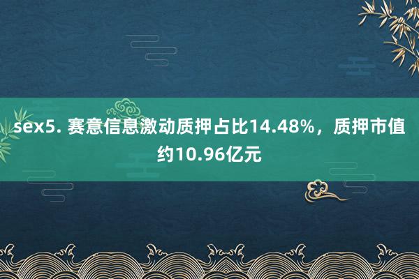 sex5. 赛意信息激动质押占比14.48%，质押市值约10.96亿元