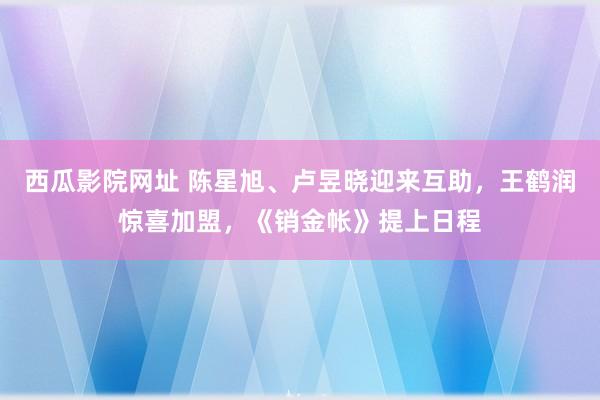 西瓜影院网址 陈星旭、卢昱晓迎来互助，王鹤润惊喜加盟，《销金帐》提上日程