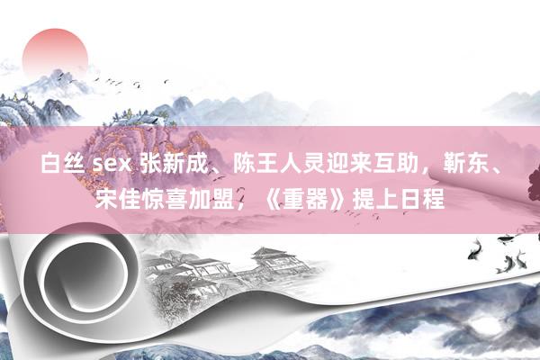 白丝 sex 张新成、陈王人灵迎来互助，靳东、宋佳惊喜加盟，《重器》提上日程