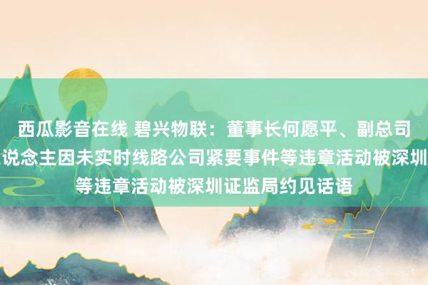 西瓜影音在线 碧兴物联：董事长何愿平、副总司理潘海瑭等多东说念主因未实时线路公司紧要事件等违章活动被深圳证监局约见话语