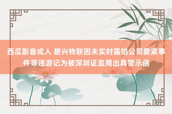 西瓜影音成人 碧兴物联因未实时露馅公司要紧事件等违游记为被深圳证监局出具警示函