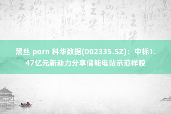 黑丝 porn 科华数据(002335.SZ)：中标1.47亿元新动力分享储能电站示范样貌