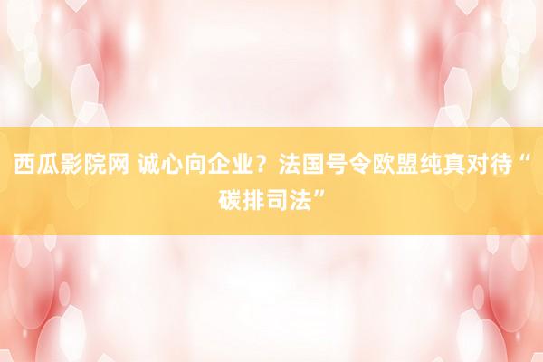 西瓜影院网 诚心向企业？法国号令欧盟纯真对待“碳排司法”