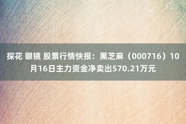 探花 眼镜 股票行情快报：黑芝麻（000716）10月16日主力资金净卖出570.21万元