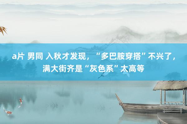 a片 男同 入秋才发现，“多巴胺穿搭”不兴了，满大街齐是“灰色系”太高等