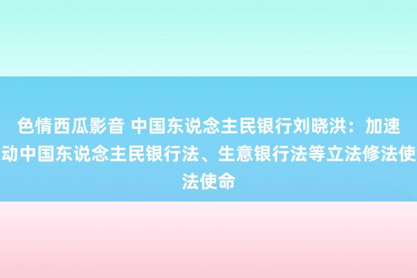 色情西瓜影音 中国东说念主民银行刘晓洪：加速推动中国东说念主民银行法、生意银行法等立法修法使命