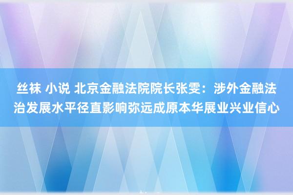 丝袜 小说 北京金融法院院长张雯：涉外金融法治发展水平径直影响弥远成原本华展业兴业信心