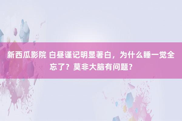 新西瓜影院 白昼谨记明显著白，为什么睡一觉全忘了？莫非大脑有问题？