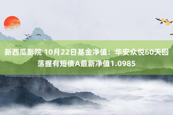 新西瓜影院 10月22日基金净值：华安众悦60天回荡握有短债A最新净值1.0985