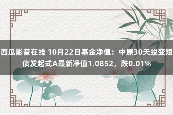 西瓜影音在线 10月22日基金净值：中原30天蜕变短债发起式A最新净值1.0852，跌0.01%