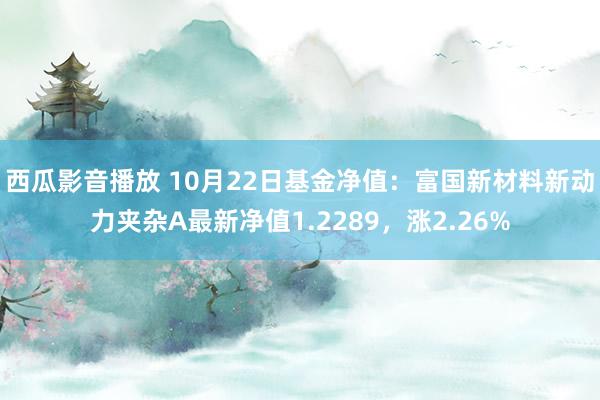 西瓜影音播放 10月22日基金净值：富国新材料新动力夹杂A最新净值1.2289，涨2.26%