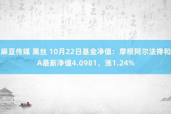 麻豆传媒 黑丝 10月22日基金净值：摩根阿尔法搀和A最新净值4.0981，涨1.24%