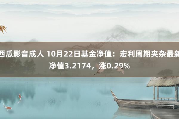 西瓜影音成人 10月22日基金净值：宏利周期夹杂最新净值3.2174，涨0.29%