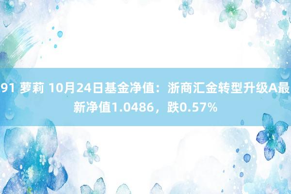 91 萝莉 10月24日基金净值：浙商汇金转型升级A最新净值1.0486，跌0.57%