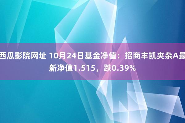 西瓜影院网址 10月24日基金净值：招商丰凯夹杂A最新净值1.515，跌0.39%