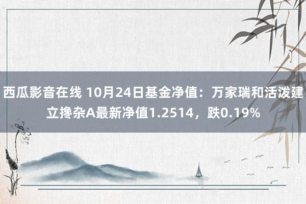 西瓜影音在线 10月24日基金净值：万家瑞和活泼建立搀杂A最新净值1.2514，跌0.19%