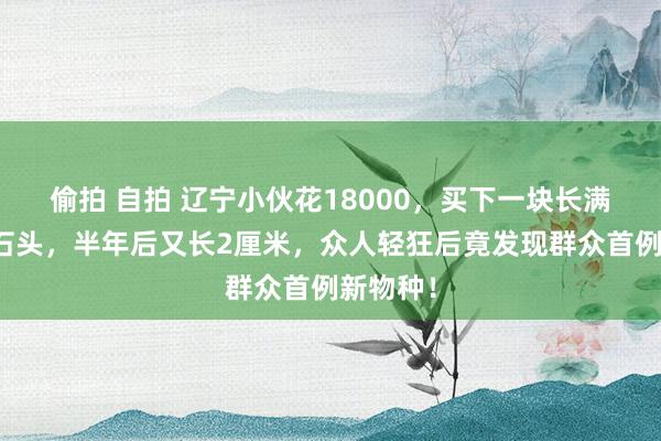 偷拍 自拍 辽宁小伙花18000，买下一块长满鹤发的石头，半年后又长2厘米，众人轻狂后竟发现群众首例新物种！