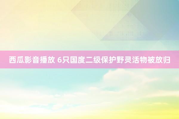 西瓜影音播放 6只国度二级保护野灵活物被放归