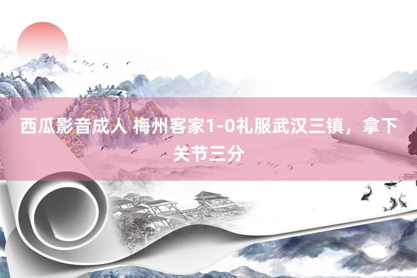 西瓜影音成人 梅州客家1-0礼服武汉三镇，拿下关节三分