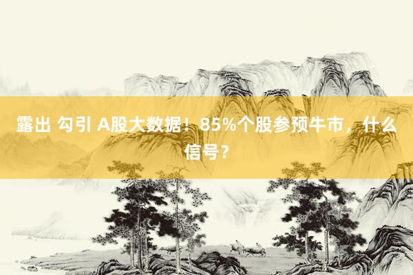 露出 勾引 A股大数据！85%个股参预牛市，什么信号？