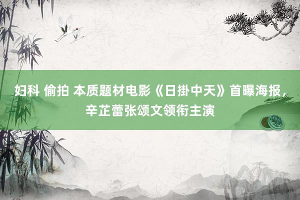 妇科 偷拍 本质题材电影《日掛中天》首曝海报，辛芷蕾张颂文领衔主演