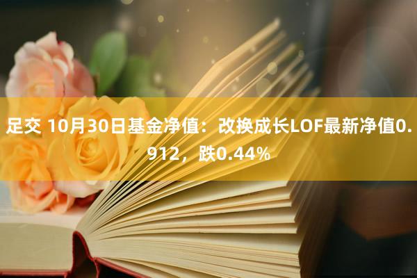 足交 10月30日基金净值：改换成长LOF最新净值0.912，跌0.44%