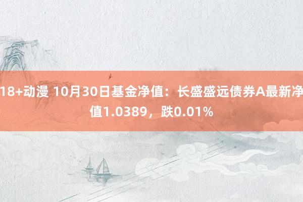 18+动漫 10月30日基金净值：长盛盛远债券A最新净值1.0389，跌0.01%