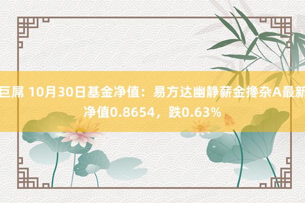 巨屌 10月30日基金净值：易方达幽静薪金搀杂A最新净值0.8654，跌0.63%