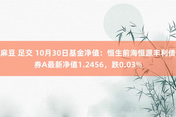 麻豆 足交 10月30日基金净值：恒生前海恒源丰利债券A最新净值1.2456，跌0.03%