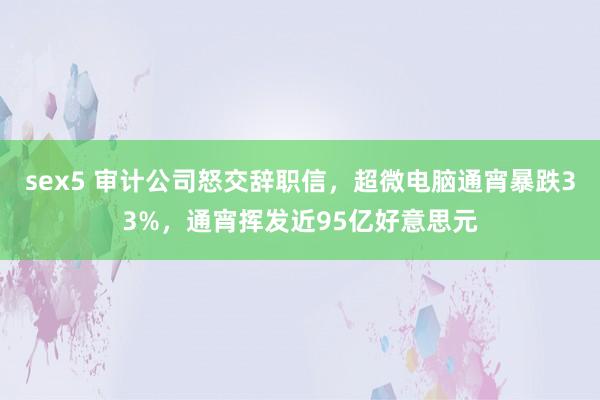 sex5 审计公司怒交辞职信，超微电脑通宵暴跌33%，通宵挥发近95亿好意思元