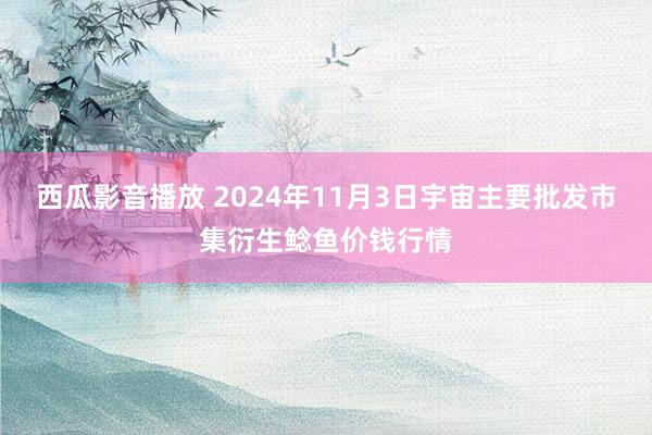 西瓜影音播放 2024年11月3日宇宙主要批发市集衍生鲶鱼价钱行情