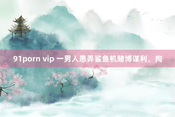 91porn vip 一男人愚弄鲨鱼机赌博谋利，拘