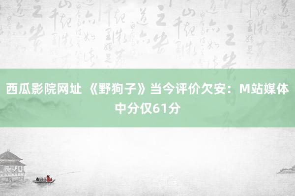 西瓜影院网址 《野狗子》当今评价欠安：M站媒体中分仅61分