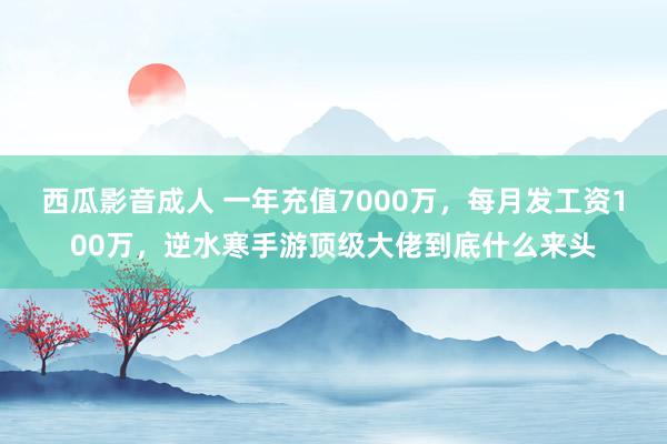 西瓜影音成人 一年充值7000万，每月发工资100万，逆水寒手游顶级大佬到底什么来头